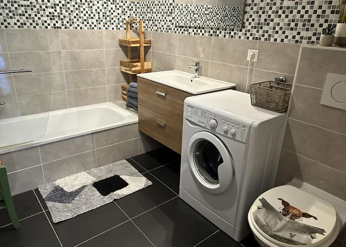 Rouge Gorge Apartment Montreux